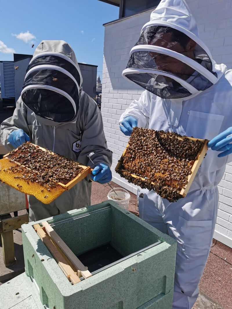 St Johns has installed a number of beehives on its roof as part of its efforts to become a more environmentally conscious organisation and to promote positive mental wellbeing among its employees. The centre, which is once again welcoming shoppers to its 100-strong cohort of stores, has acquired two initial hives, with each containing approximately 20,000 bees which will pollinate within a three-mile radius of the site. Bees play a critical role in preserving ecological balance and, as such, they are an important part of our wider ecosystem. Through pollination, bees have an impact on many parts of the environment, but particularly on the growth of crops, flowers and plants. Each hive installed on St Johns’ rooftop will continue to grow, attracting up to 40,000 additional bees, and will positively contribute to the environmental generation of the local area in Liverpool. As well as the environmental benefits of the rooftop beehives, St Johns also hopes that its new initiative will promote positive mental wellbeing among its employees, as minding bees has been shown to reduce stress, anxiety and depression.